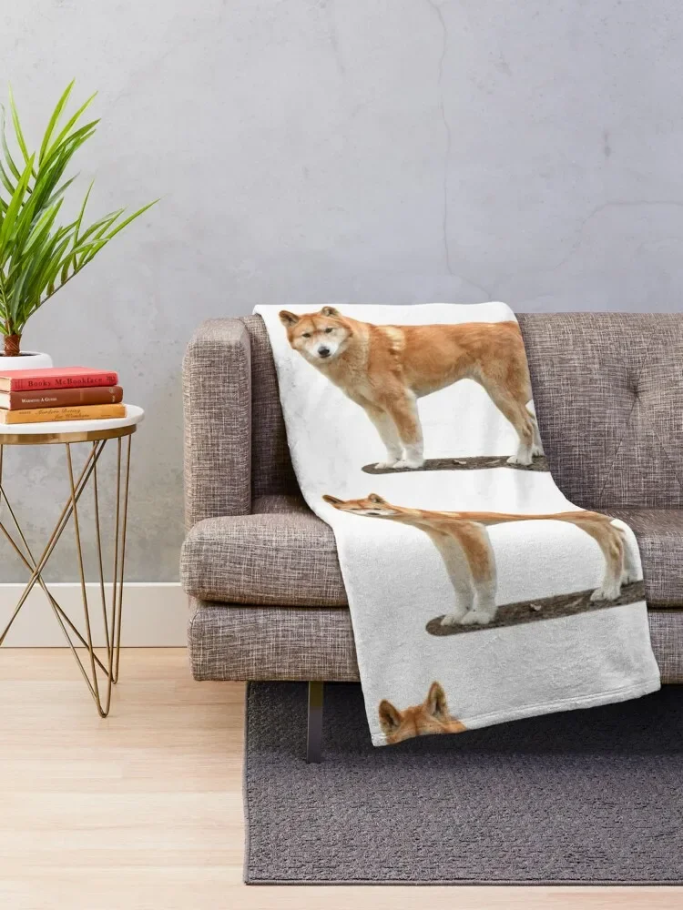 Dingo Throw Blanket Sofa Throw Comforter Blankets