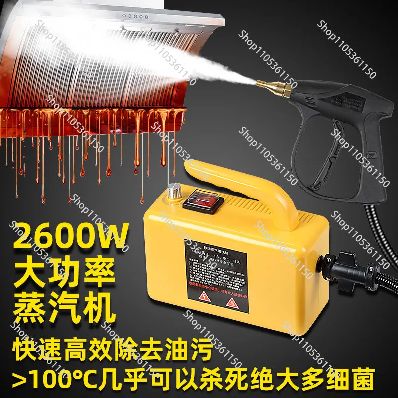 Steam Cleaning Machine Air Conditioner Parts Washing Tools Adjusted Function Home HighTemperature Steam Cleaner For Kitchen EU