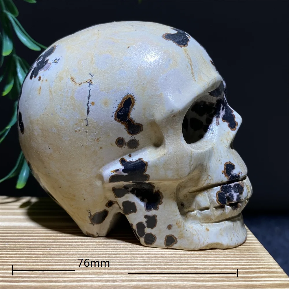 Picture Jasper Carved  Skulls Druzy Natural Stone  Crystal Cranium Healing Gemstones Geode  Witchcraft Home Decoration Modern