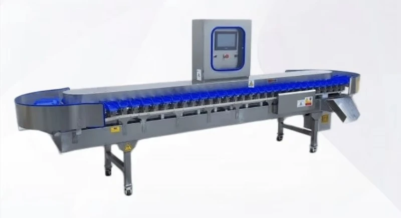 Mangosteen Clam Belt Type Abalone Bell Pepper Seafood Oyster Weight Grading Sorting Machine Core