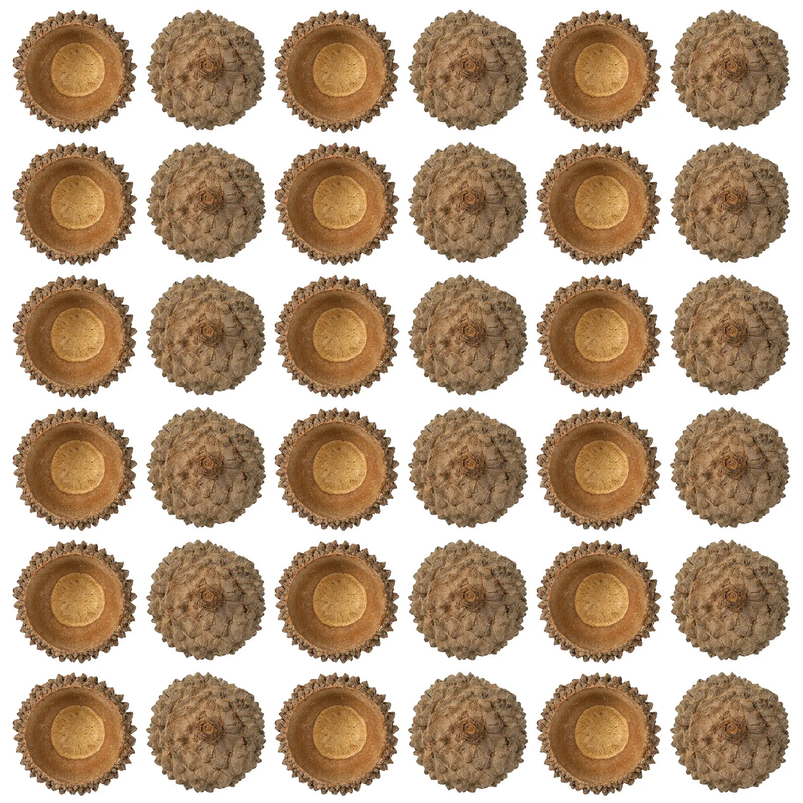Dried Fruit - 150 Stück rustikale Eicheln, natürlich getrocknet,