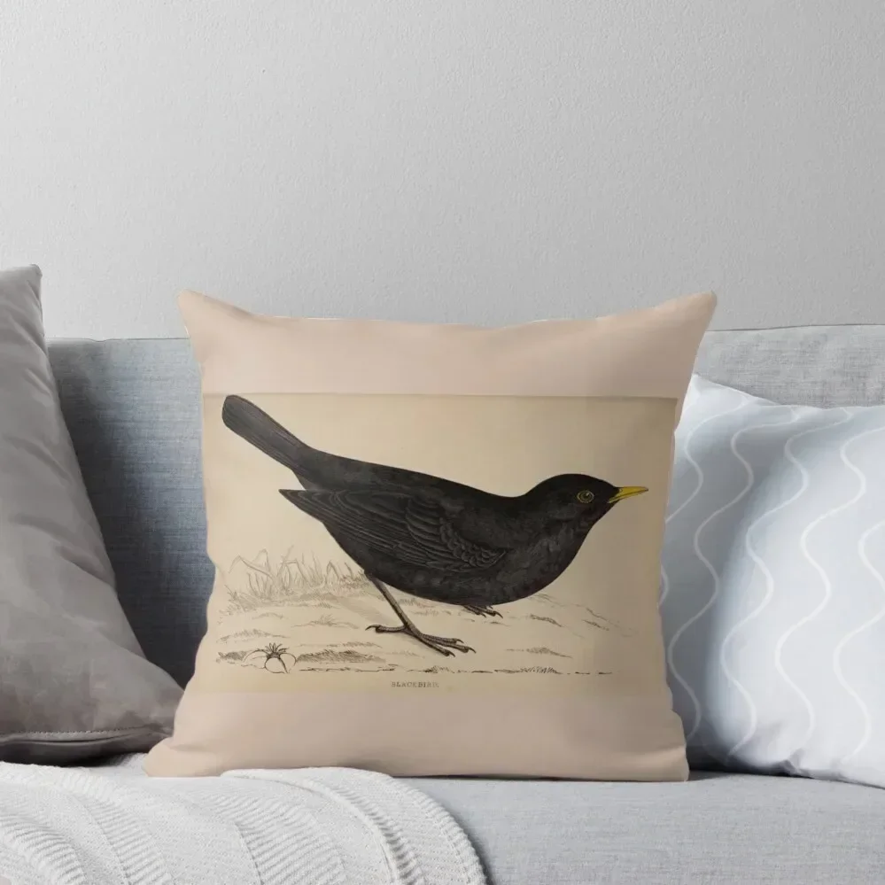 Naturalist Blackbird Throw Pillow Couch Pillows bed pillows Decorative Sofa Cushions pillow