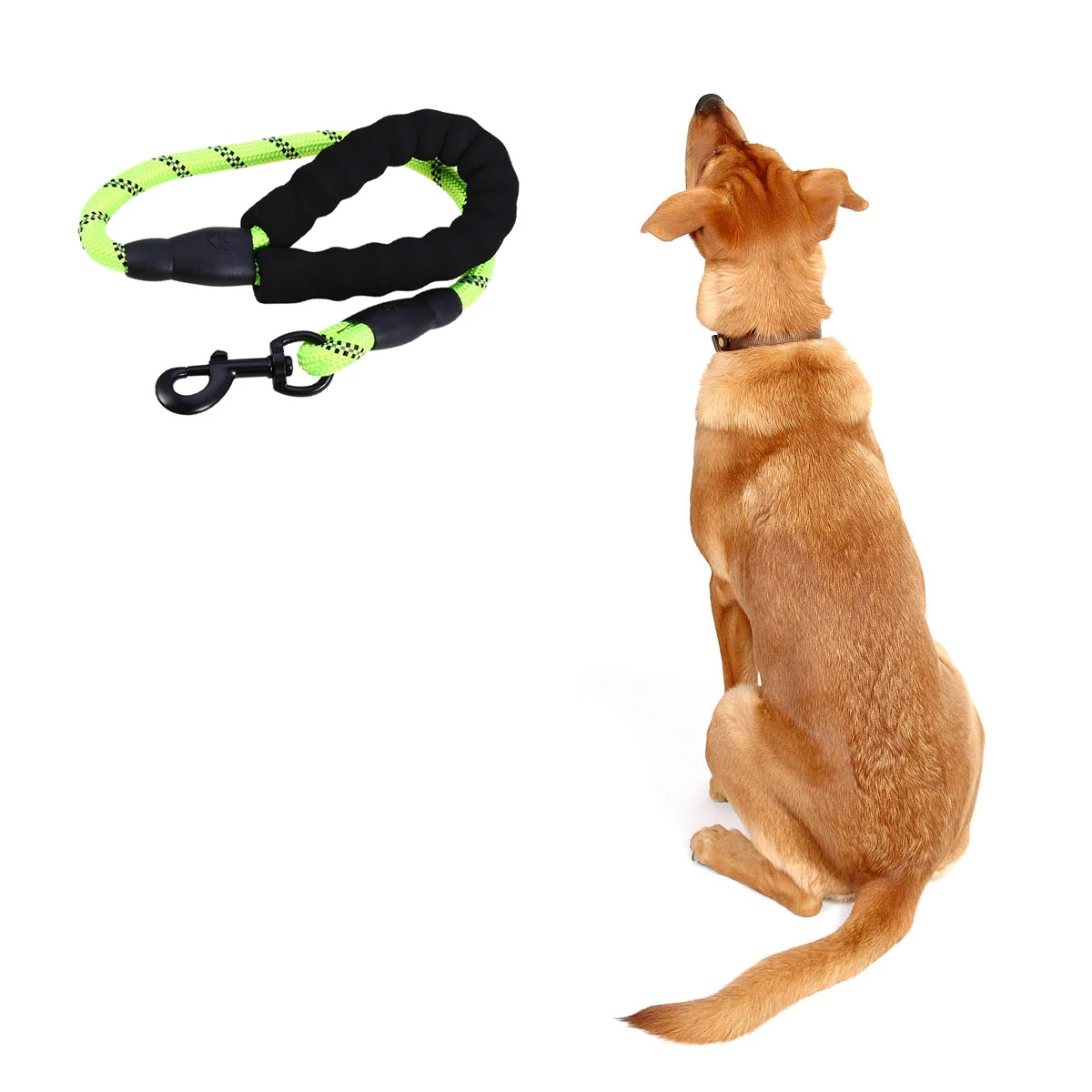 

60 Cm Short Traction Rope Reflective Dog Leash Durable Nylon Training Walking Leads Pet Gear Small Dogs Collar Harness
