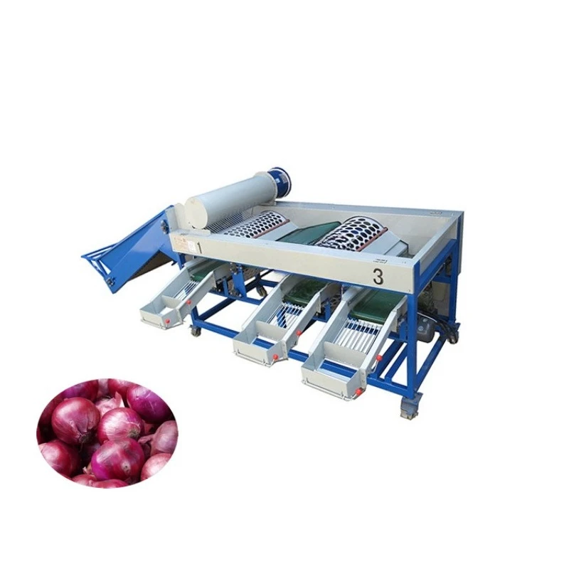Intelligent Onion Sorting Classifier Machine with High Speed Size Grading and Calibration System