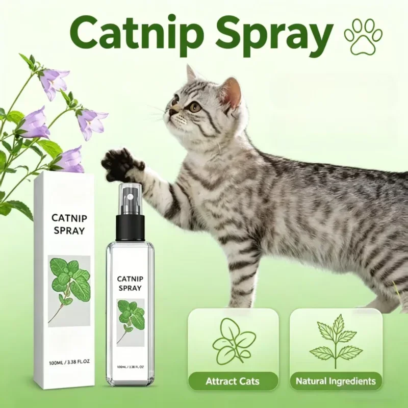 Katzenminze Beruhigungsspray Angstlinderung Steigerung der Vitalität Katzenminze-Infusion Ohne Unordnung Verhaltenstraining Interaktives Katzenspielzeug für Katzen