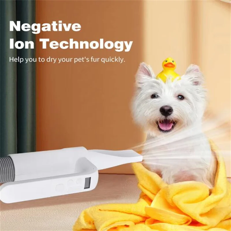 살롱 개 손질 송풍기 애완 동물 건조기 강아지 공기 건조 손잡이 제어 기능이있는 고속 전기 Canine Beauty Clean Commercial