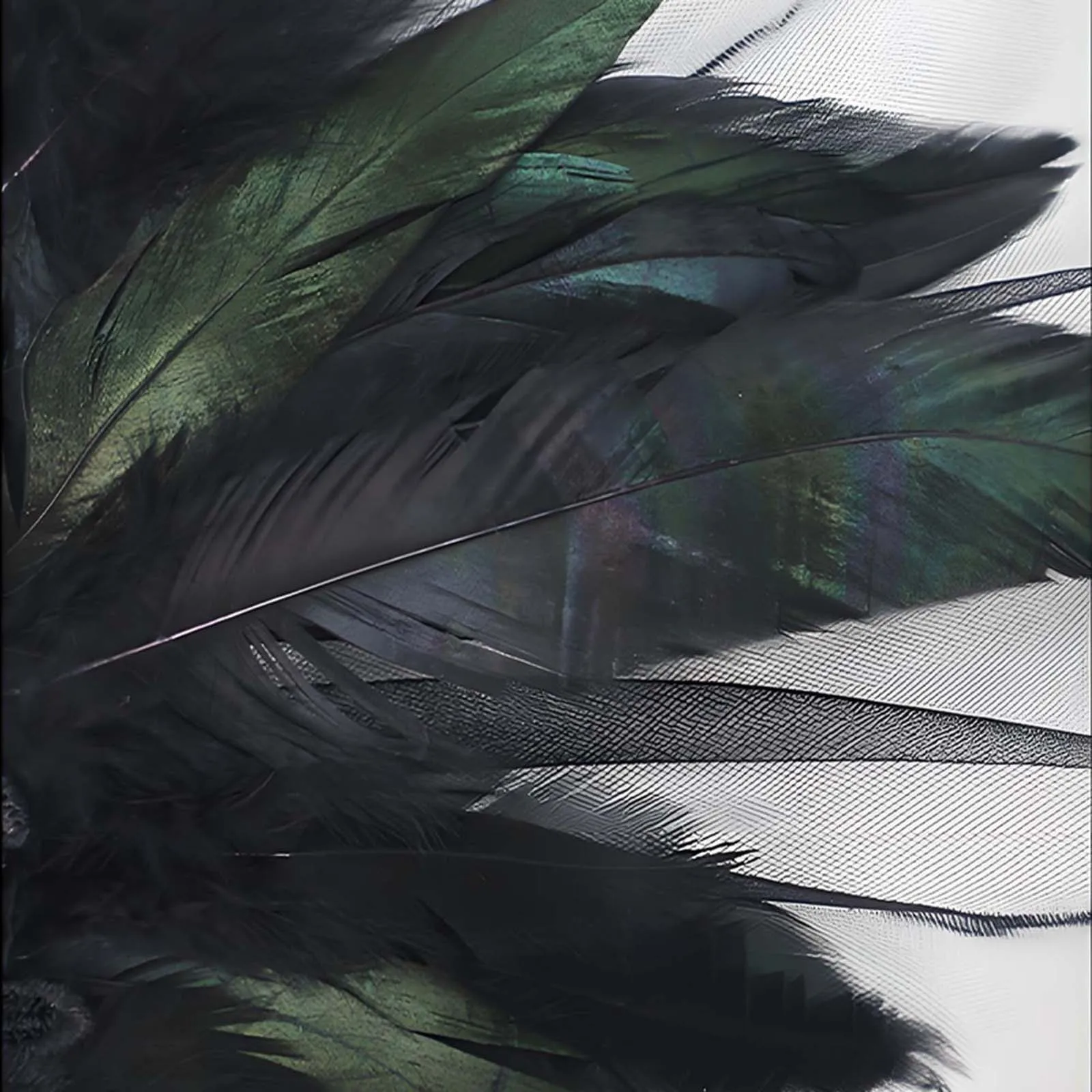 HEZIOWYUN المرأة ريشة عباءة القوطية تول الدانتيل الرأس مع ريشة طوق هالوين مصاص دماء الساحرة زي الملحقات