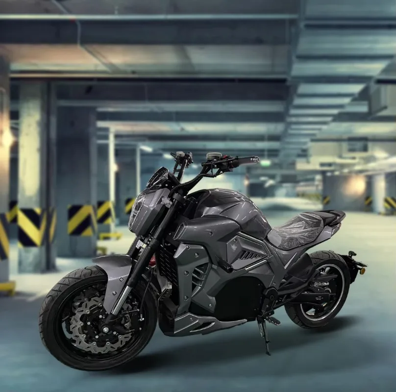 2025 New Style Best-Selling Racing Electric Motorcycle With Mid Motor