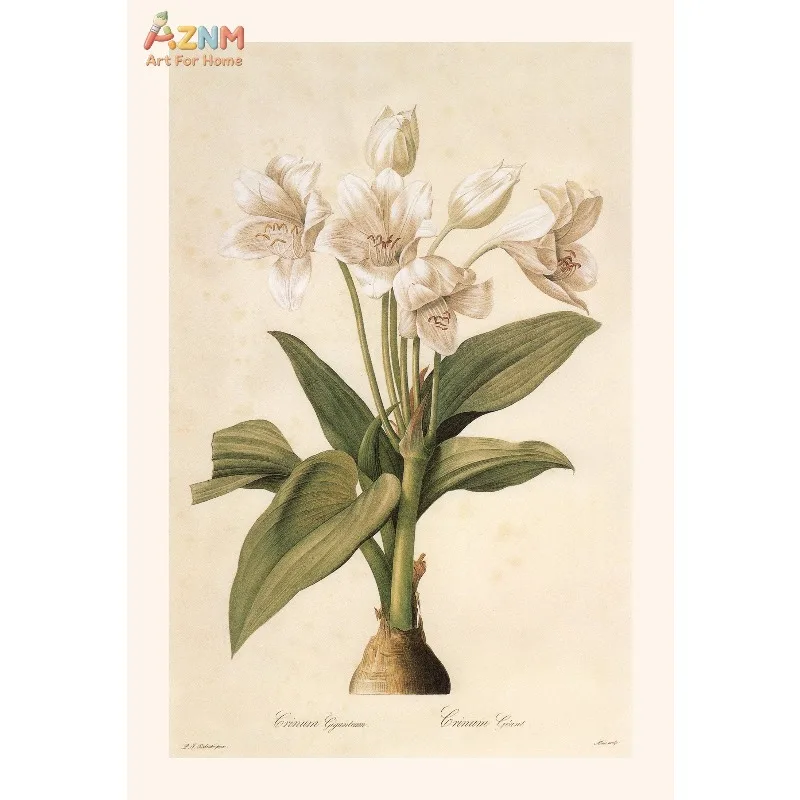 Affiche Murale Vintage Classique : Illustration de Plantes et Fleurs, Peinture sur Toile, Décoration Esthétique pour la Maison