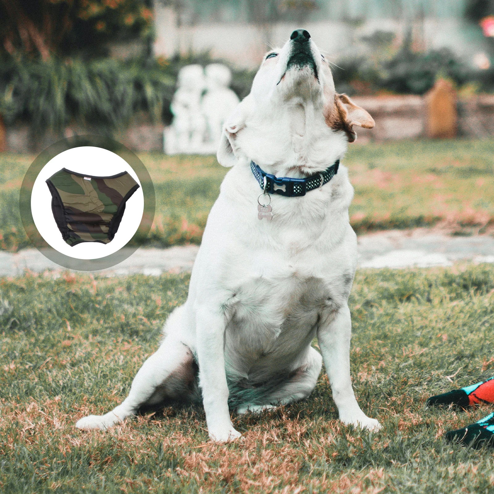 

3 Pcs Washable Pet Physiological Pants Bridegroom Physiology Pets Diaper Sanitary