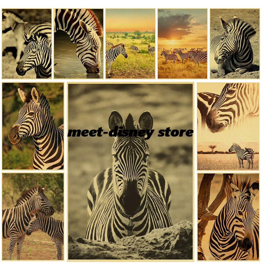Wild Animal Zebra Posters Landscape Skateboard Harajuku Aesthetic Y2K Fashion Wall Art Nostalgia Canvas Cafe Painting Decor