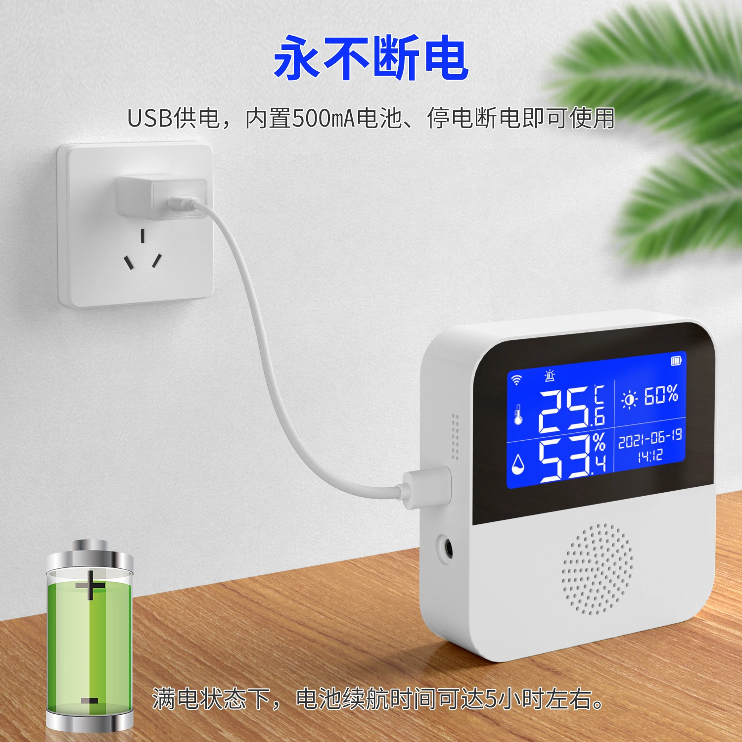 

Tuya Graffiti Smart Thermometer Household Wireless WIFI Temperature Sensor Probe Version