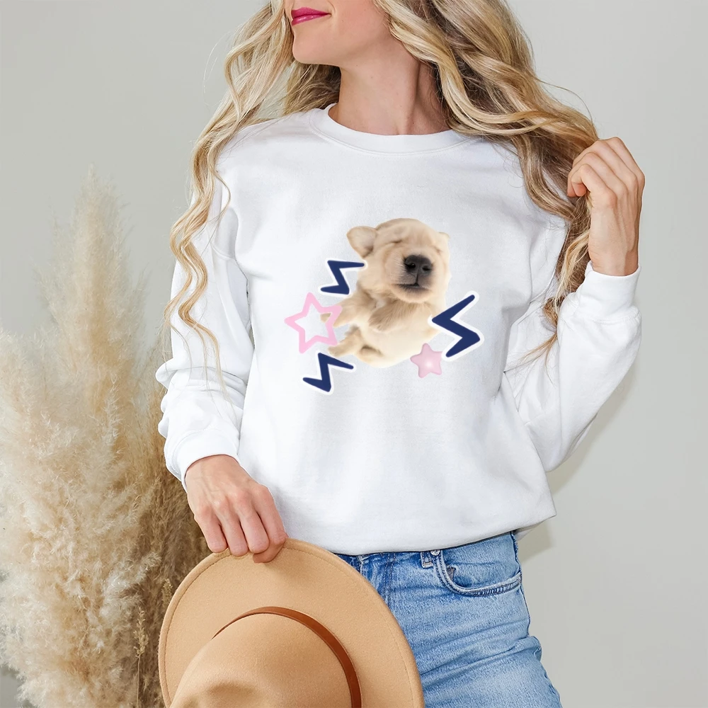 Puppy Fast Sleep Lässiges Sweatshirt mit Rundhalsausschnitt Y2K Damenbekleidung aus gebürstetem Fleece, kurzer Pullover, passendes Minirock-Set