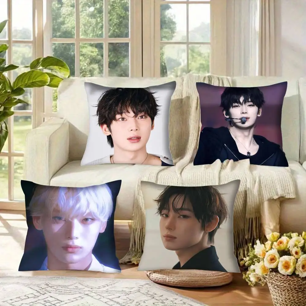 Pillowcases Cushion…