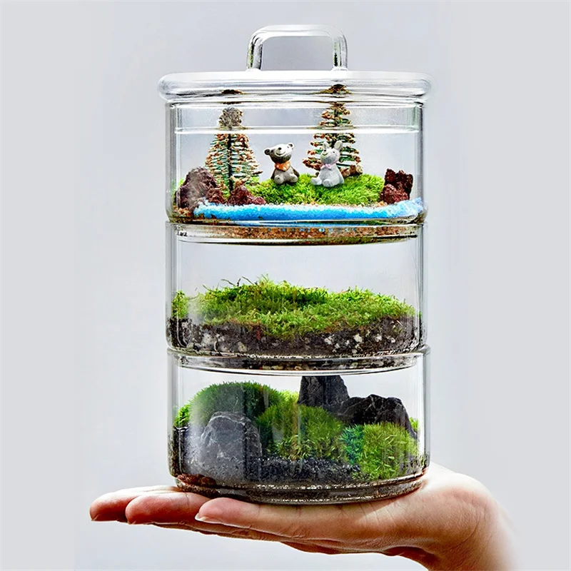 Micro Landscape Moss Plants Glass Bottle With Lid Fresh Green Moss Potting Glass Terrarium Creative Bonsai Plants Indoor Decor