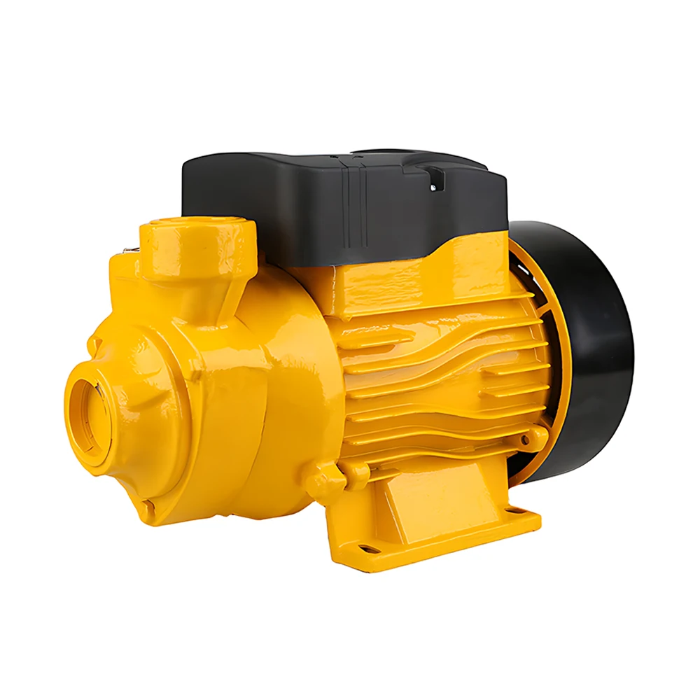 12V 24V DC Vortex Pump Copper Impeller Solar Battery Water Pump for Irrigation Car Washing Well River Pumping Farm Garden Eu