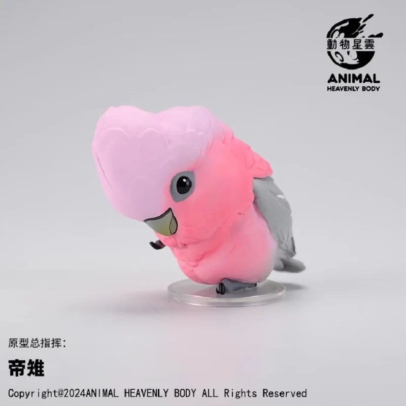 A Series of Laugh and Grow Fat Series Parrot Blind Box Animals Birds Crafts statue Cute Anime Figure Collectible Model Toys Gift