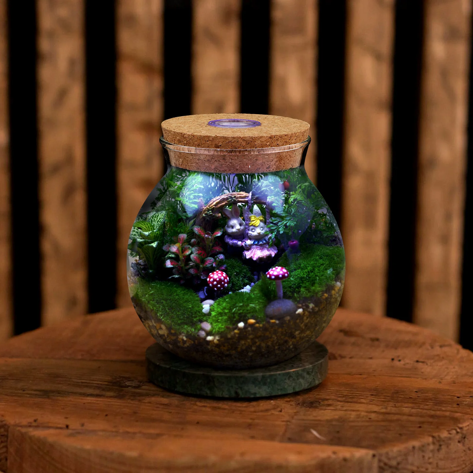 

Ecological Bottle Premium Glass Simple Transparent Micro Landscape Holder DIY Decorative Vase Room Decoration