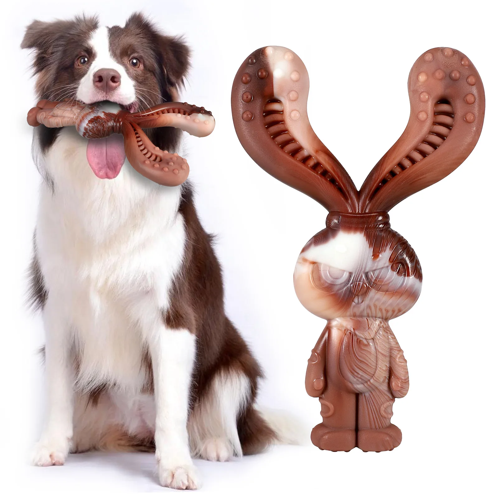 Jouets à mâcher pour chiens, jouets d'entraînement à saveur de bœuf, jouets de nettoyage dentaire, jouets interactifs pour chiens, jouets à mâcher en os de dentition