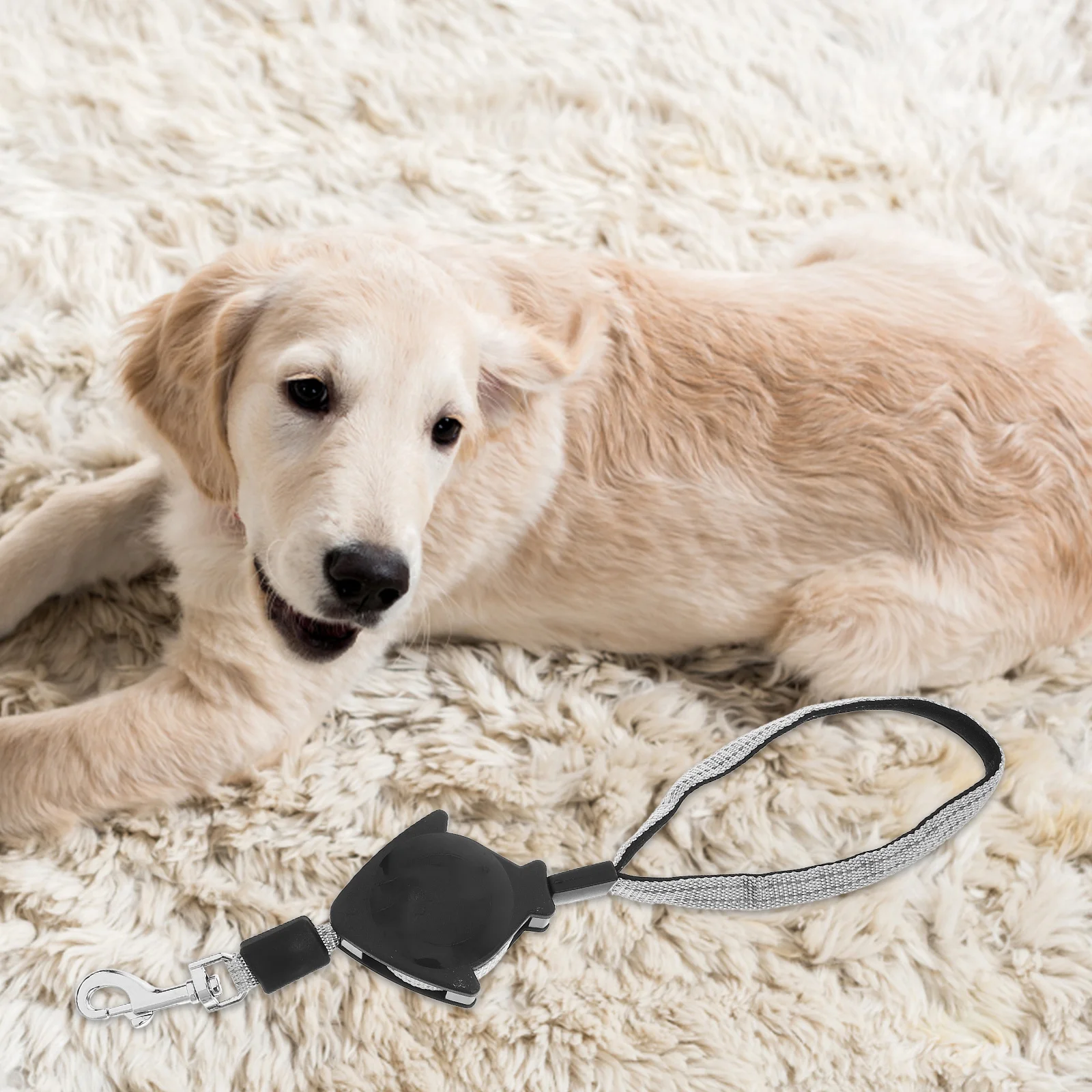 

Automatic Retractable Dog Leash Size L Black Long Durable Training Lead Ergonomic Handle For Gloves Pet Training