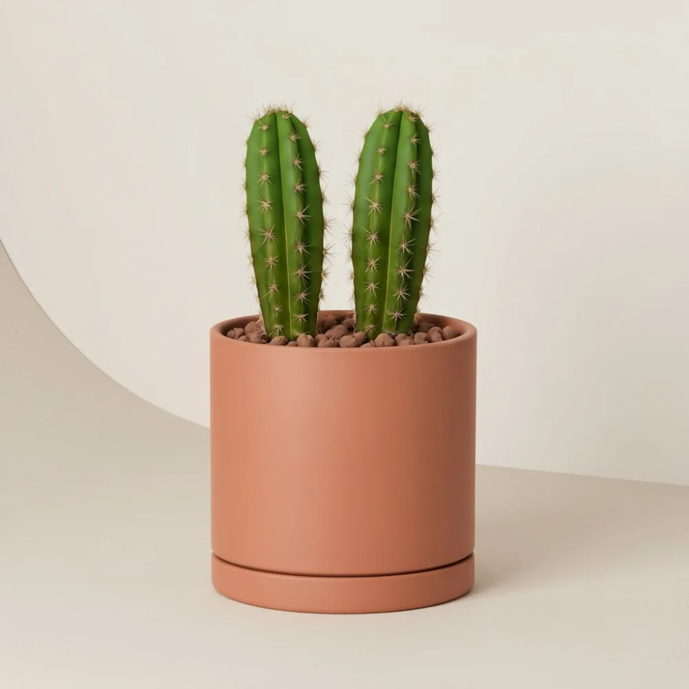 

Large 10 Inch Terracotta Plant Pot with Drainage Hole and Saucer, Round Cylinder Planter for Indoor Plants, Home Garden Decor