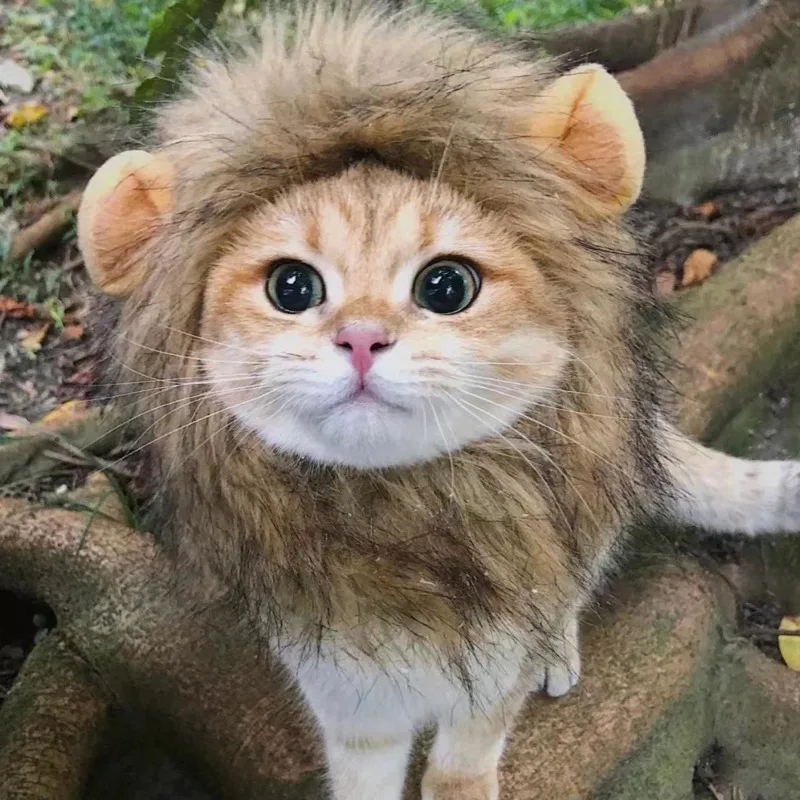 Funny Pets Clothes Cap Cute Cat Wig Lion Mane Costume Cosplay Kitten Dog Hat With Ears Fancy Party Supplies