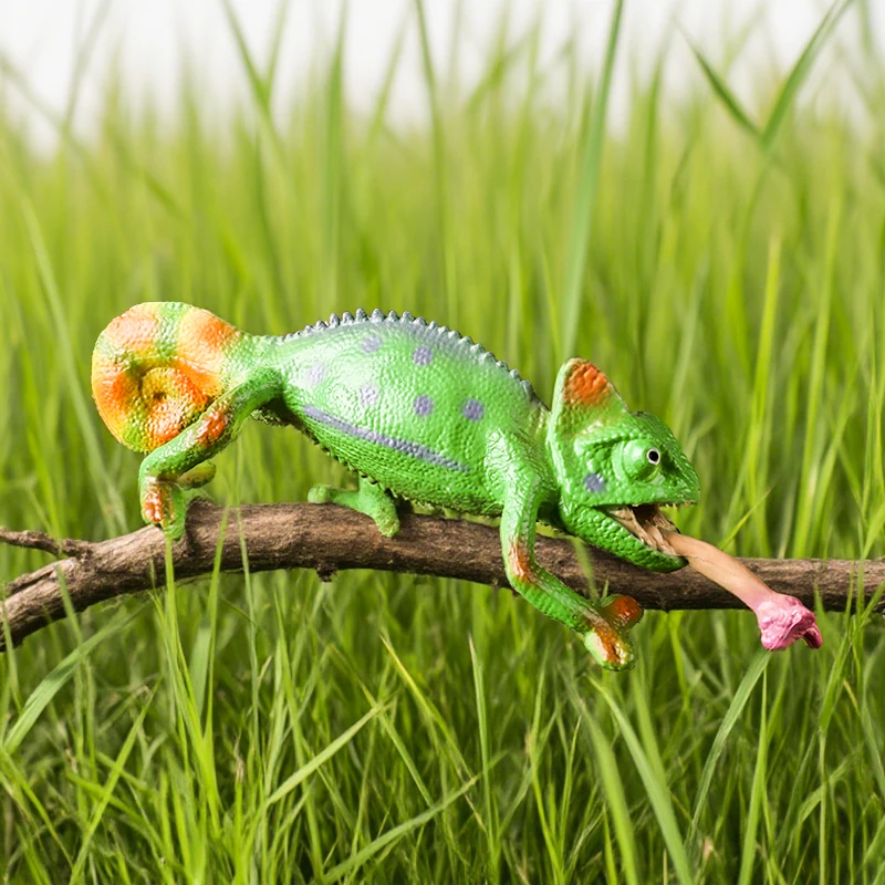 Oenux Neue Simulation Wilde Reptil Tiere Action-figuren Eidechse Modell Figuren Kinder Bildung Kognitive Szene Dekoration Spielzeug – Detail 18