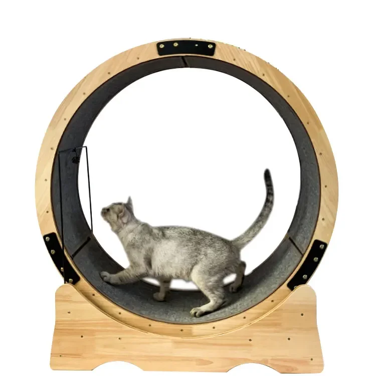 cat toy wheel Eco-Friendly Wooden Pet Exercise Wheel Treadmill Toy for Cat Running