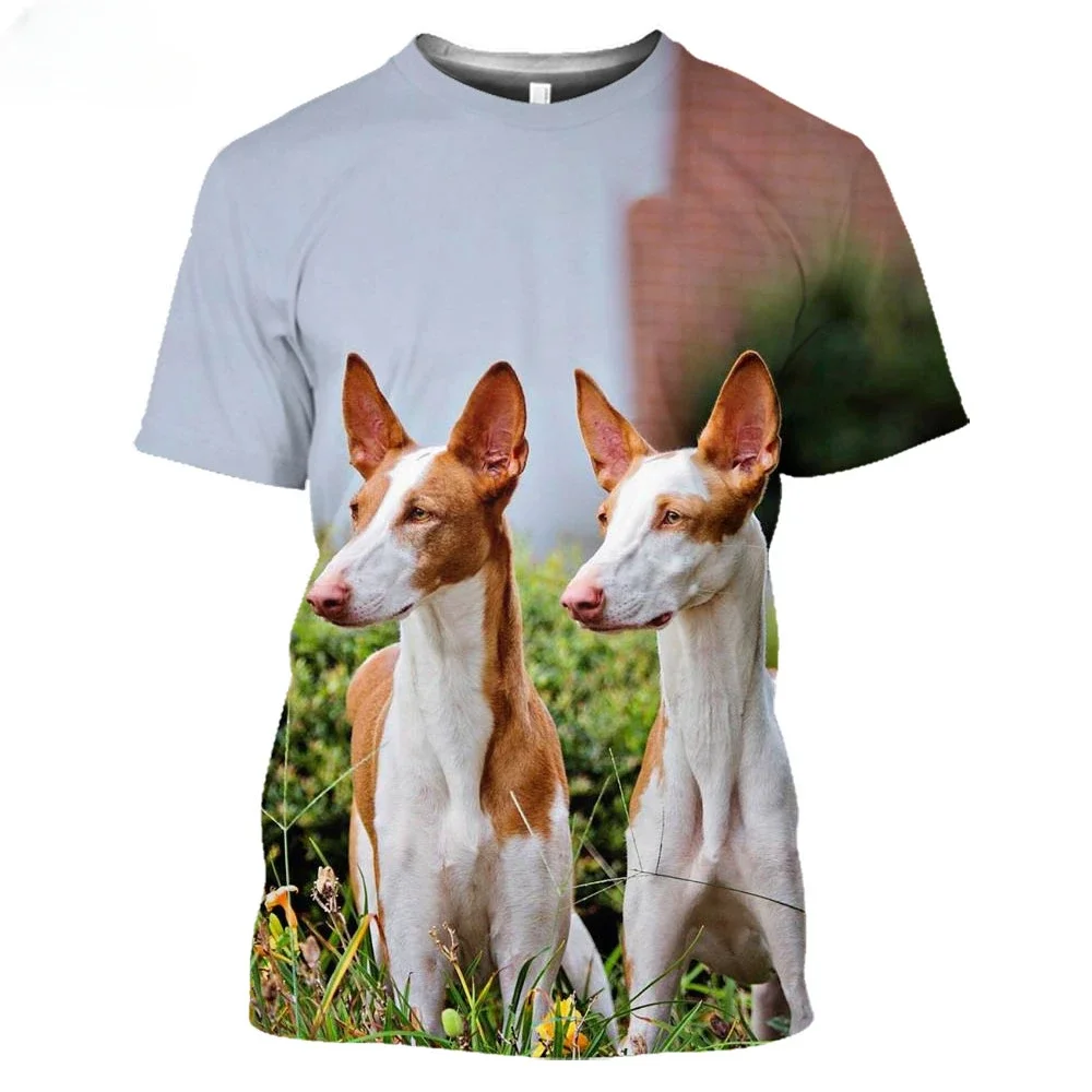 Ibizan Hound Dogs Hunting 3D T Shirt Men\'s Women\'s Teenage 6Xl  Podenco Ibecenco Dog Summer Short Sleeve Harajuku Top