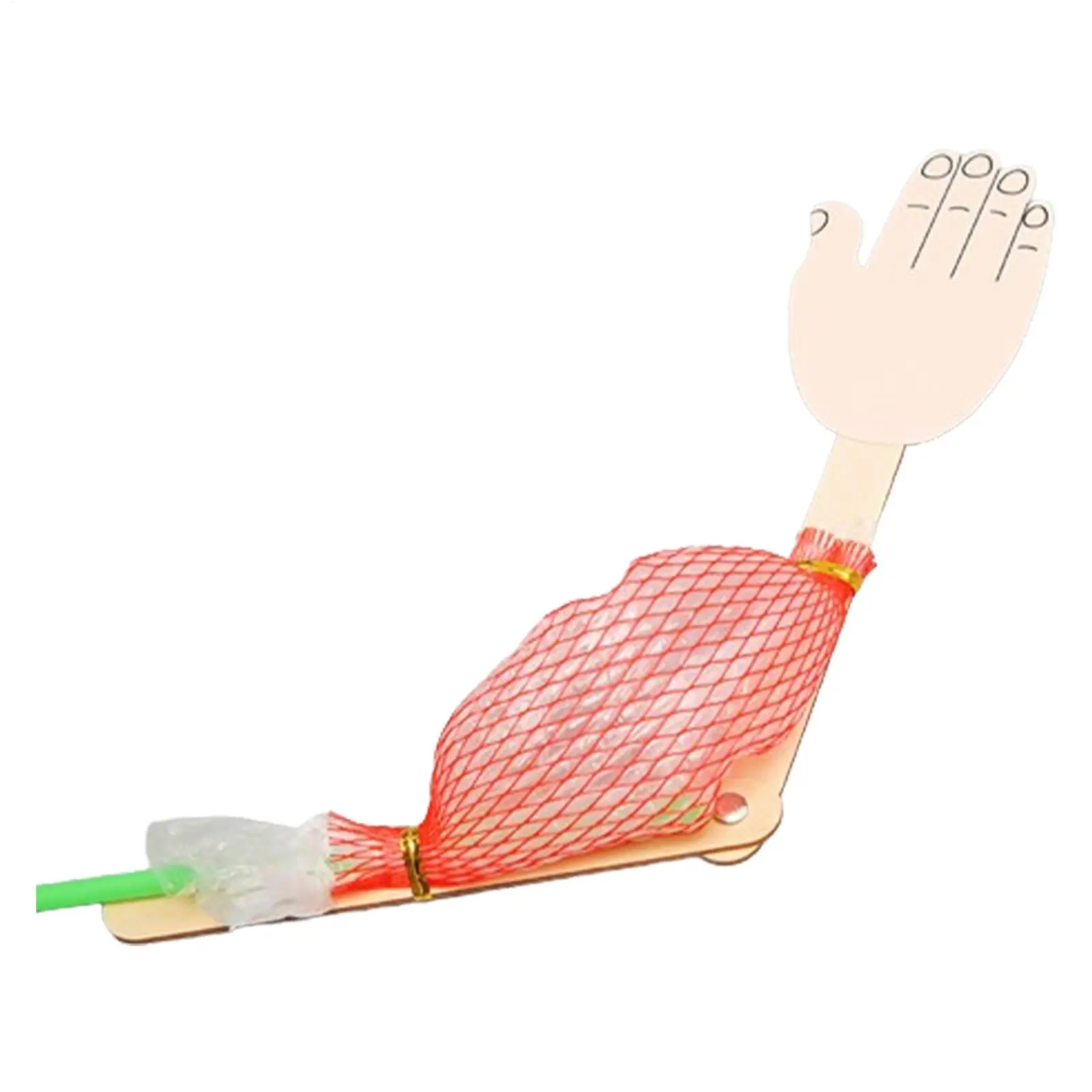 Kit de experimentos biológicos, proyecto científico interactivo, juguete, experimentos científicos, juguetes para niños, aprendizaje de ciencias, juguetes de educación temprana