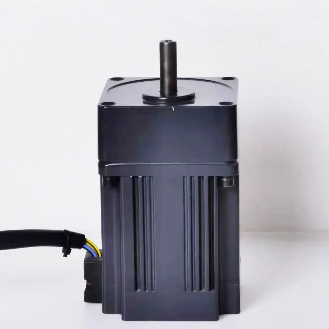 200W Low Voltage 24v/36v/48v Brushless Dc Motor