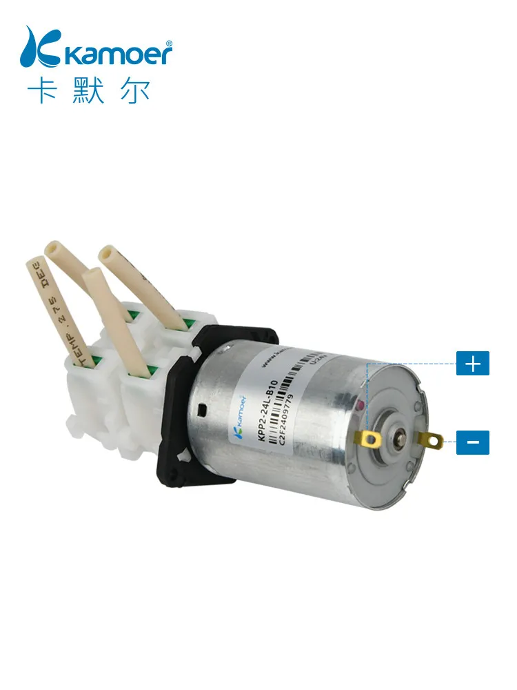 12V Dual-Head Peristaltic Pump Small Suction Pump Lab Pump Head High Flow Double Channel Miniature Dual Pump for Laboratory Use