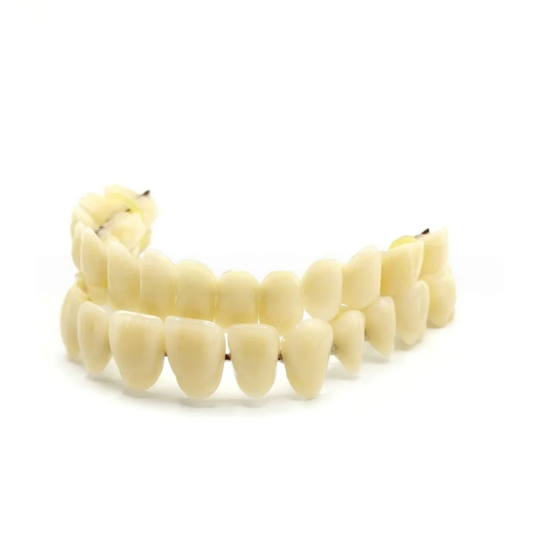 1 conjunto de modelos de ensino dentário, tiras de cera para dentadura, caixas para dentadura oral, materiais de ensino, ferramentas de comunicação para médico-paciente