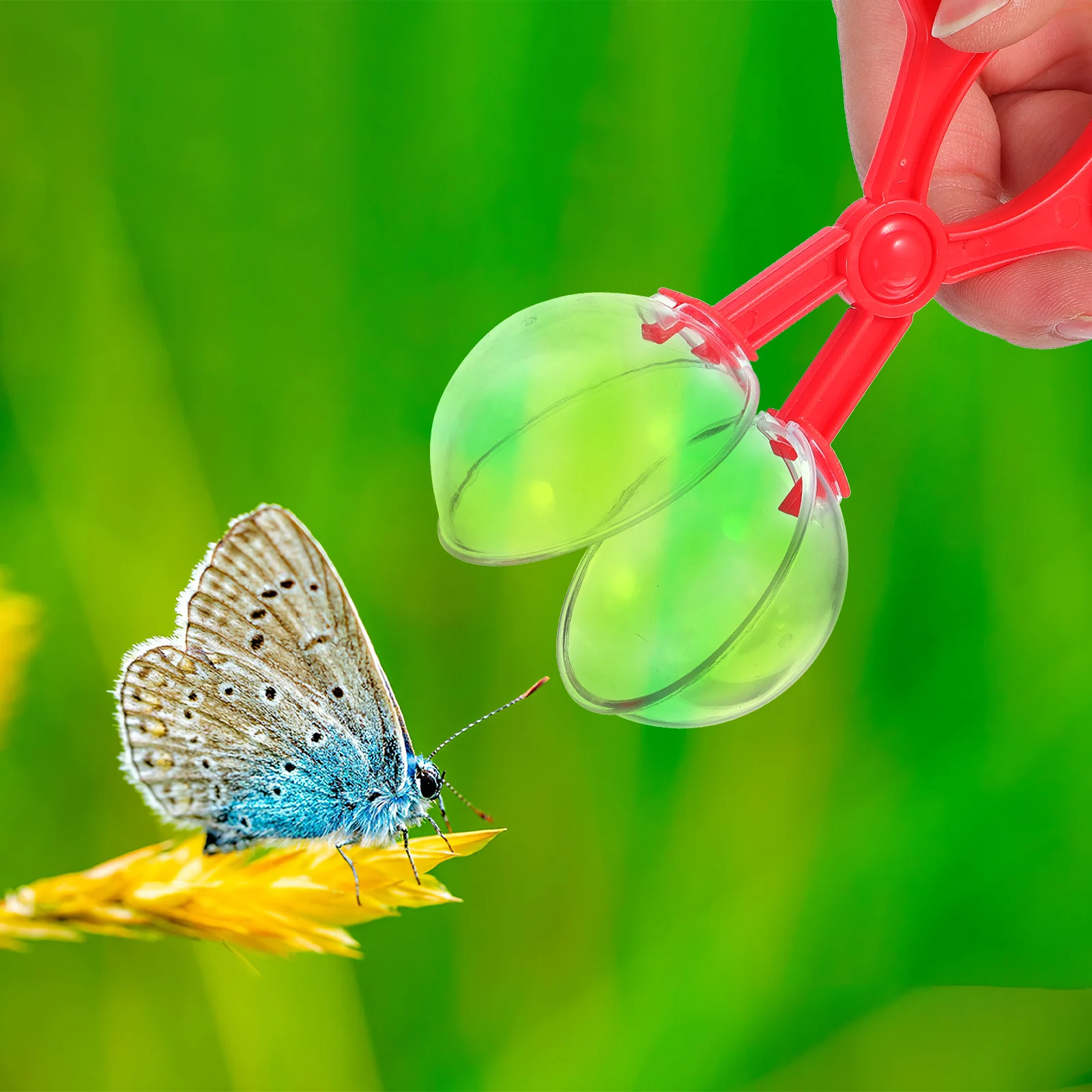 Juego de tarro visor de lupa de insectos, contenedor transparente para exploración al aire libre, Kit de observación, herramienta de estudio natural para niños, 1 Juego