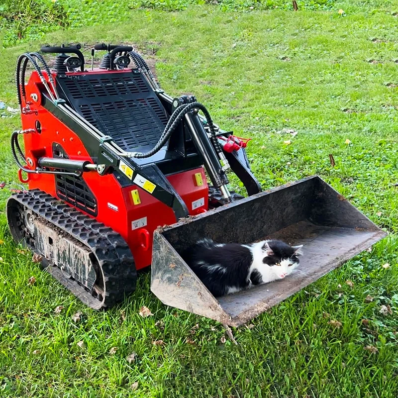 EPA 유로 5 소형 사이드 컨트롤 로더 도매 가정용 분쇄 장비 다기능 미니 사이드 컨트롤 로더 스노우 셔블