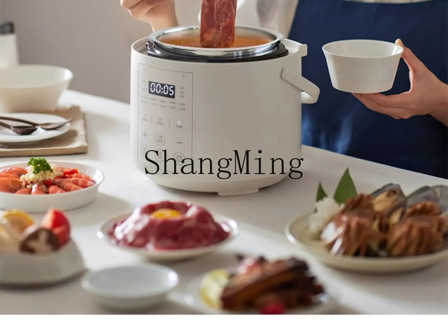 ZYY pentola a pressione elettrica istantanea non rivestita piccola mini pentola a pressione da 2 litri per uso domestico