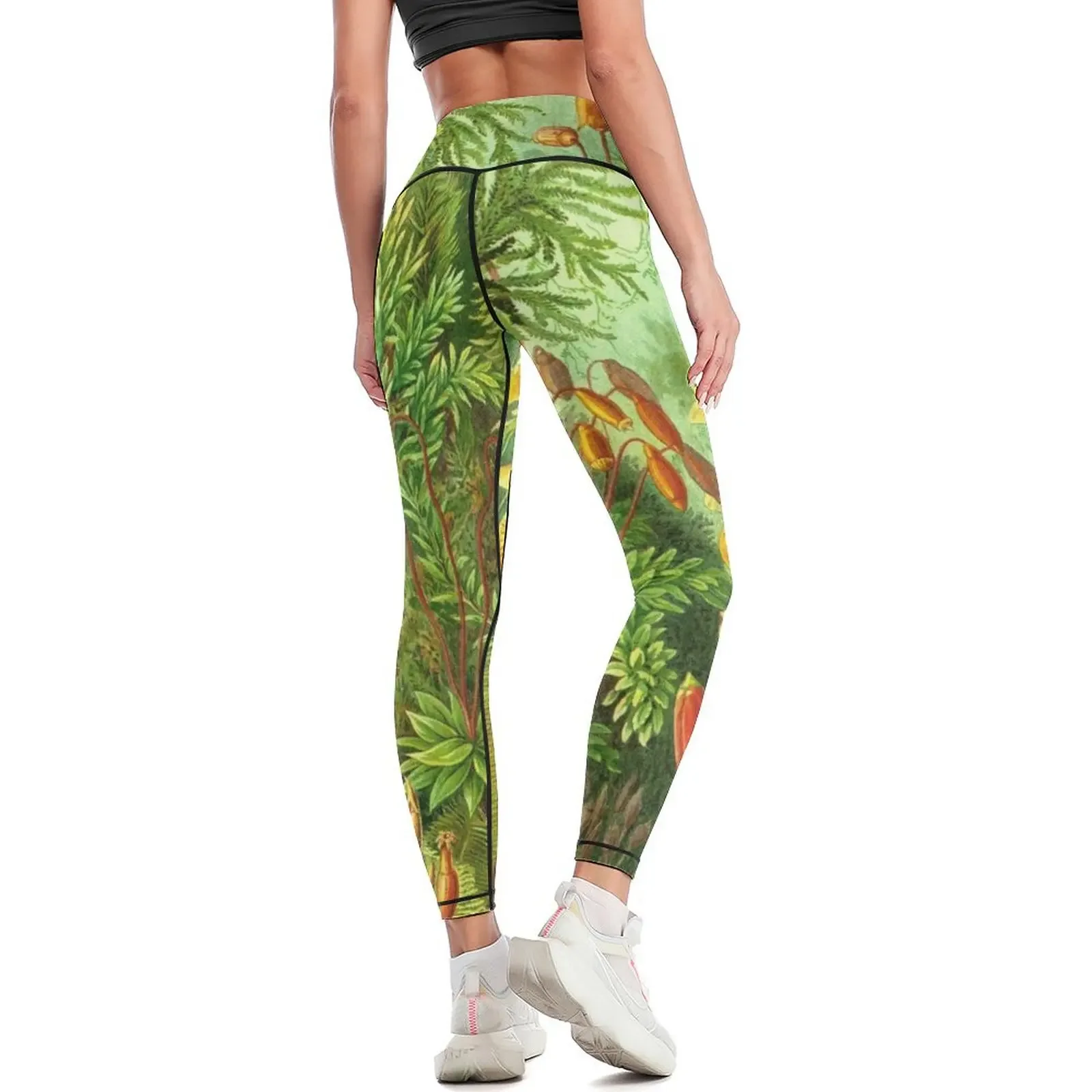 Moss - Ernst Haeckel Leggings trousers for fitness active wear Female legging pants Womens Leggings