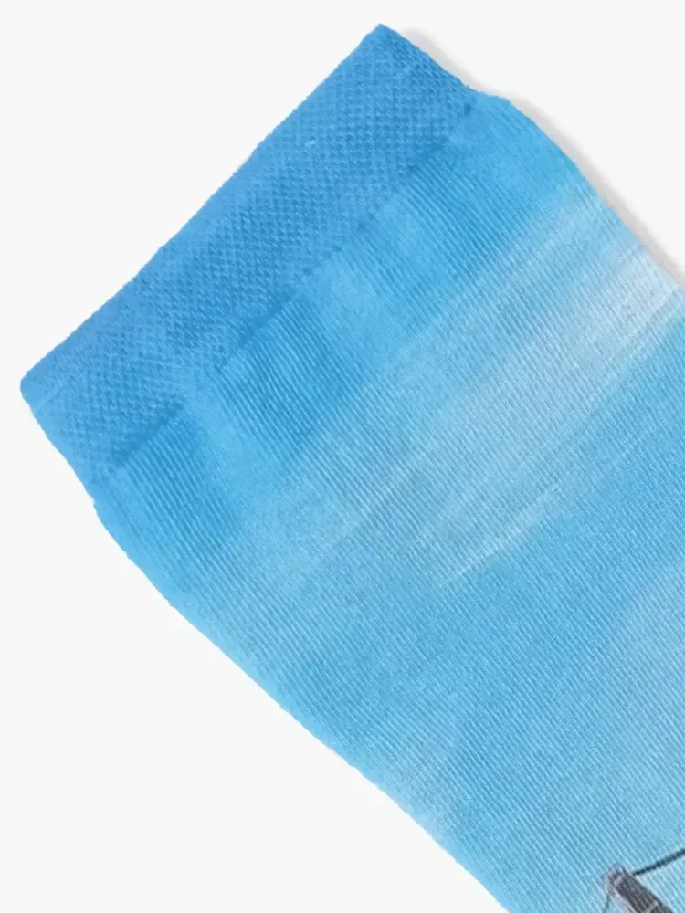 Bristol in Bloom Socks gifts Rugby floor Men's Socks Ladies Men's