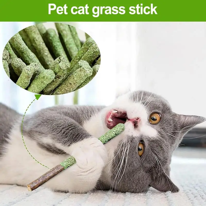 Natural Matatabi Cat Stick Mint Caught Bite Excited Rods Silvervine For Cat Teeth Cleaning Treating Pet Supply Cat Toys