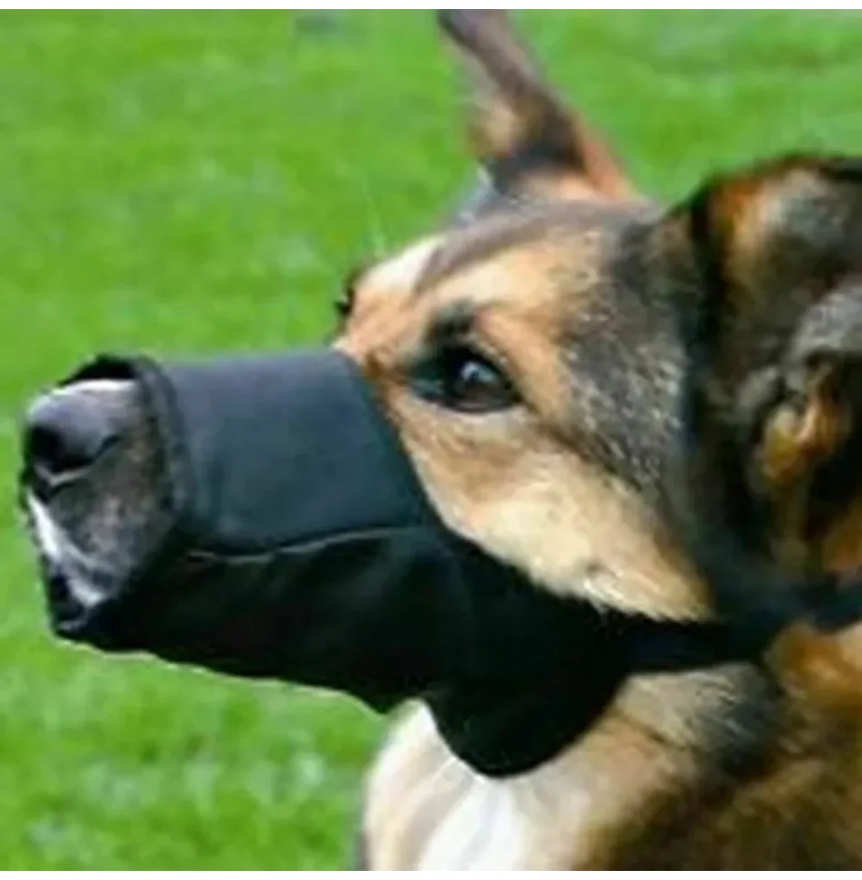 #8 Puppy Muzzles Comparison Guide