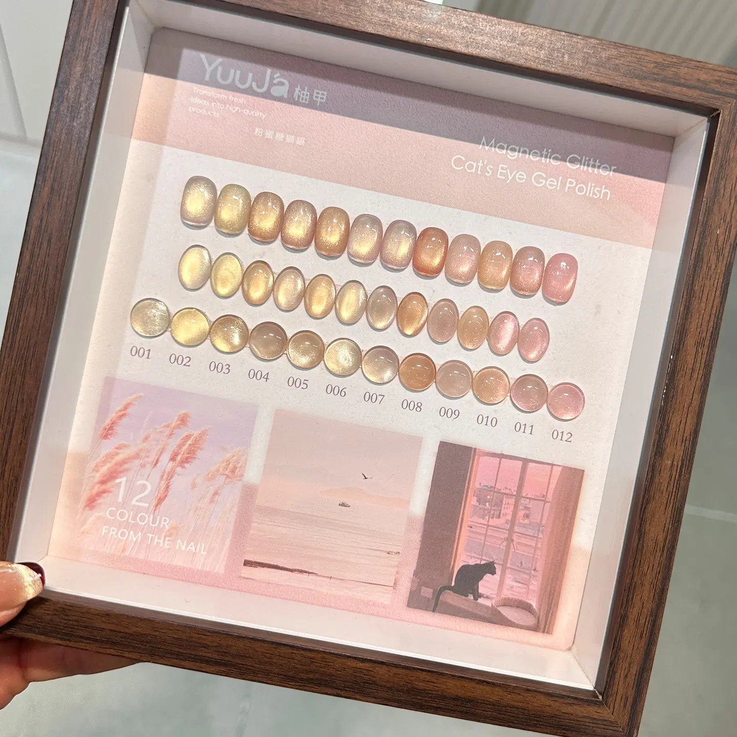 YUUJA 12 Colors Moonlight Cat Eye Nail Gel Set Bottle 2026 New High Quality Professional & DIY Use Non-toxic UV Gel ODM/OEM