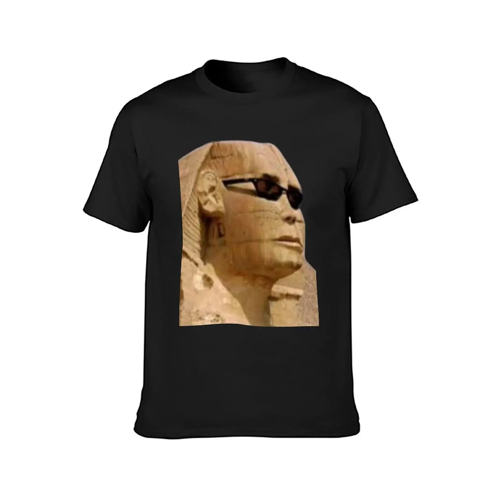 Sphinx statue, Egyptian pharaonic pictures T-Shirt shirts graphic tees summer top oversized aesthetic clothes mens tall t shirts