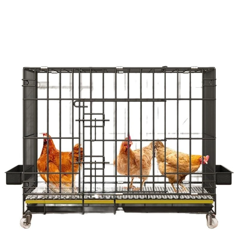 

Chicken cage Household indoor large breeding cage
