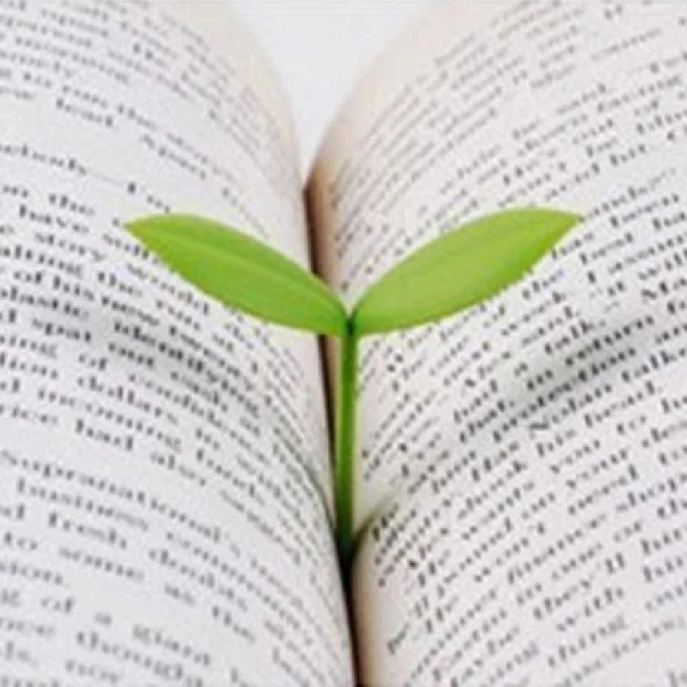 Creative Stationery for Bookworm Green Bookmarks Sprout Bookmark Little Leaves Bookmark Grass Buds Bookmark Little Grass Bud