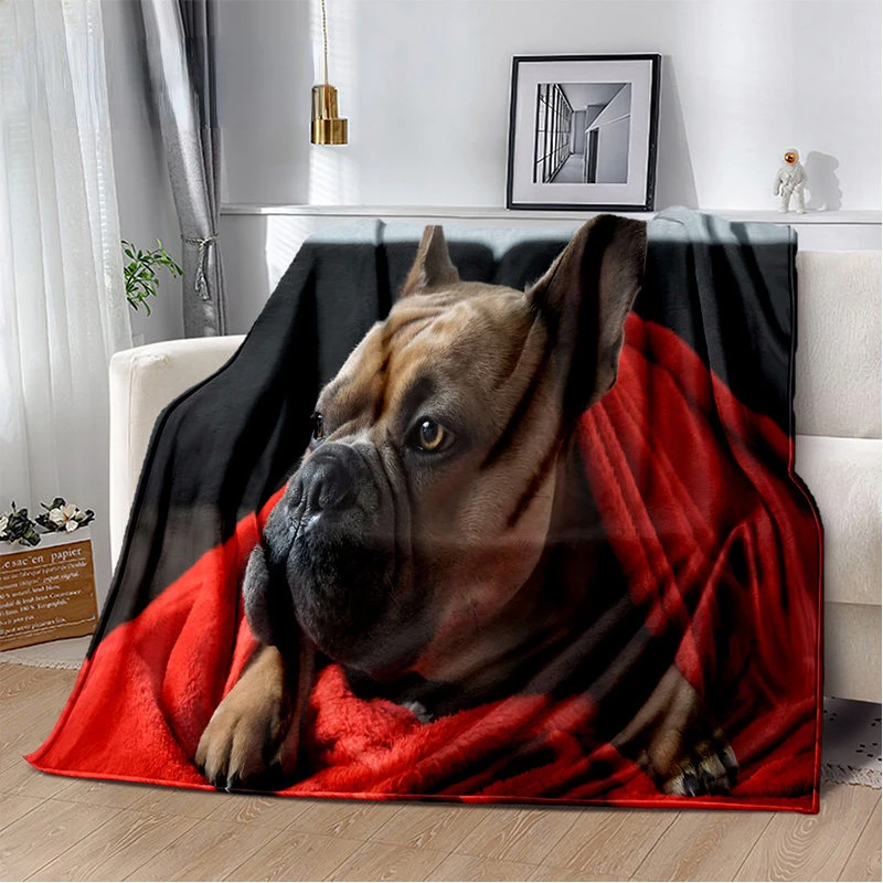 French Pit Bull Dog Soft Plush Blanket,Flannel, Throw Blanket for Living Room, Bedroom, Bed, Sofa, Picnic Cover