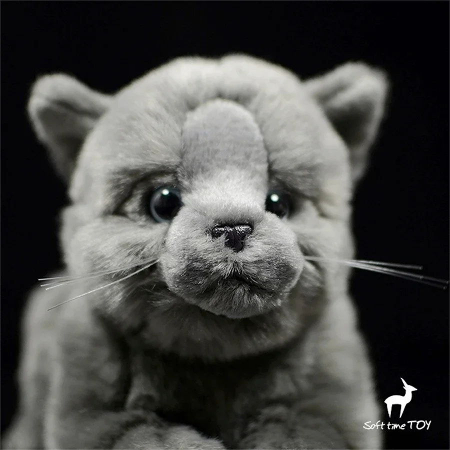 British Shorthair Plush Toy High Fidelity Shorthair Cat Plushie Cats Peluche Lifelike Stuffed Animals Simulation Doll Toy Kids