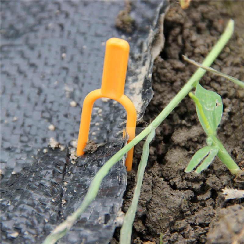 50 sztuk / zestaw Stały klips Creeping Stem Clamps Plant Vine Press Strawberry Watermelon Widelce Zestaw do ogrodnictwa domowego Linia do wiązania