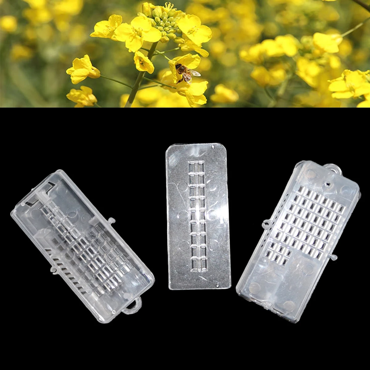 

Multifunctional Queen Bee Cage Plastic Transparent Bee Mailing Box Queen Bee Escape Prevention Frame Beekeeping Supplies 100Pcs