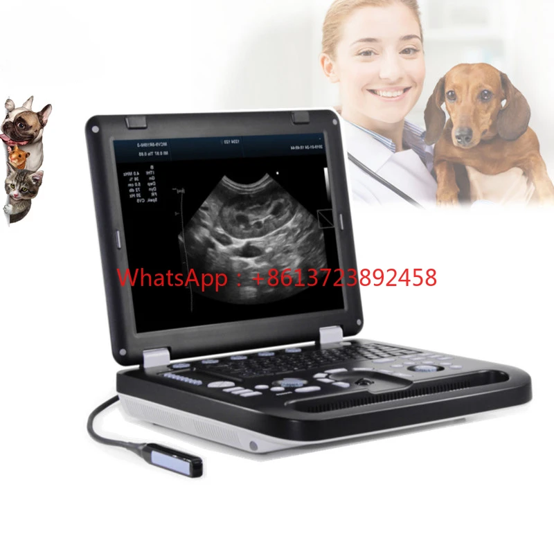 Veterinary Full digital color Doppler Veterinary ultrasound diagnostic instrument