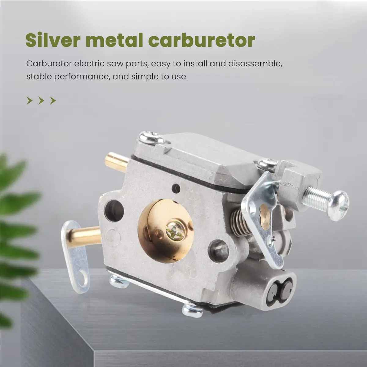 Abnq 300981002 Carb…